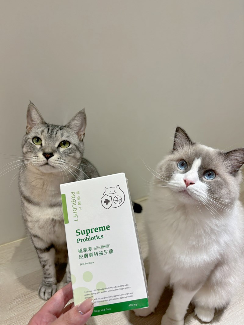 女人知己試用大隊,口碑行銷,部落客行銷,嬌寵醫生 極精萃 皮膚專科益生菌,保證新鮮活菌100億,皮膚保健益生菌,好吸收,幫助維持消化道機能,維持健康,可撥開膠囊使用以下方式均勻攪拌後，予以犬貓食用,●拌飼料　●拌罐頭　●拌鮮食　●拌肉泥,品牌創辦人是獸醫師，親自研發，吃得安心.放心,寵物預防醫學第一品牌,拒絕添加不必要成分